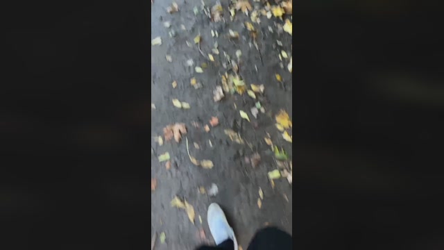 jenkster  17-10-2022